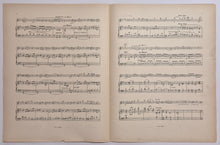 Charger l'image dans la galerie, Villanelle.