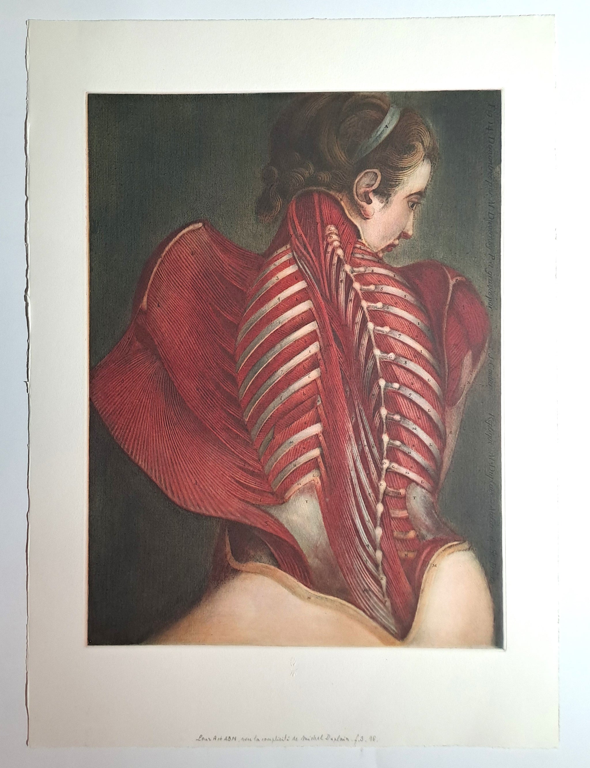 GAUTIER D'AGOTY Jacques Fabien. L'ange anatomique. Gravure en couleurs.