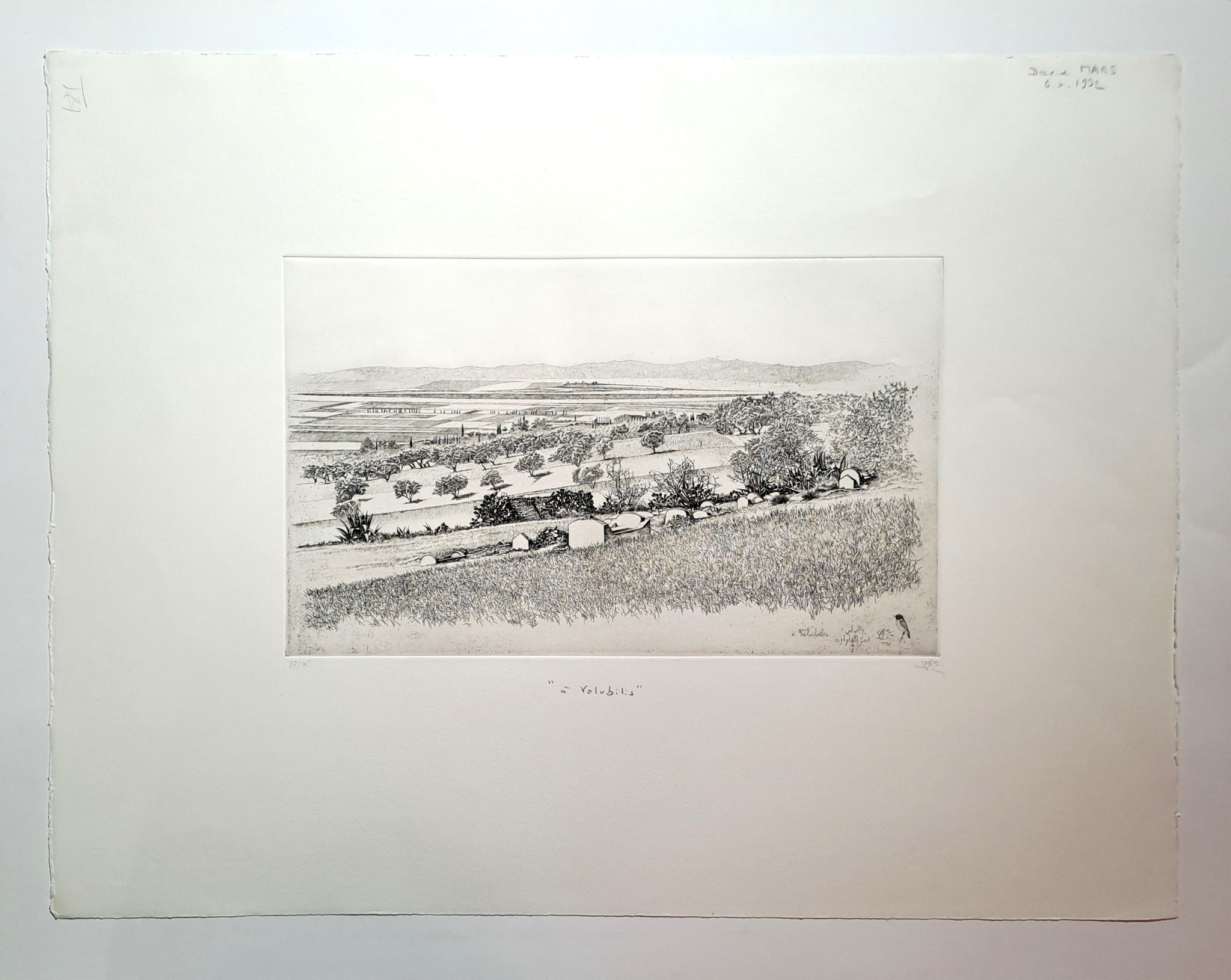 À volubilis. 1992.