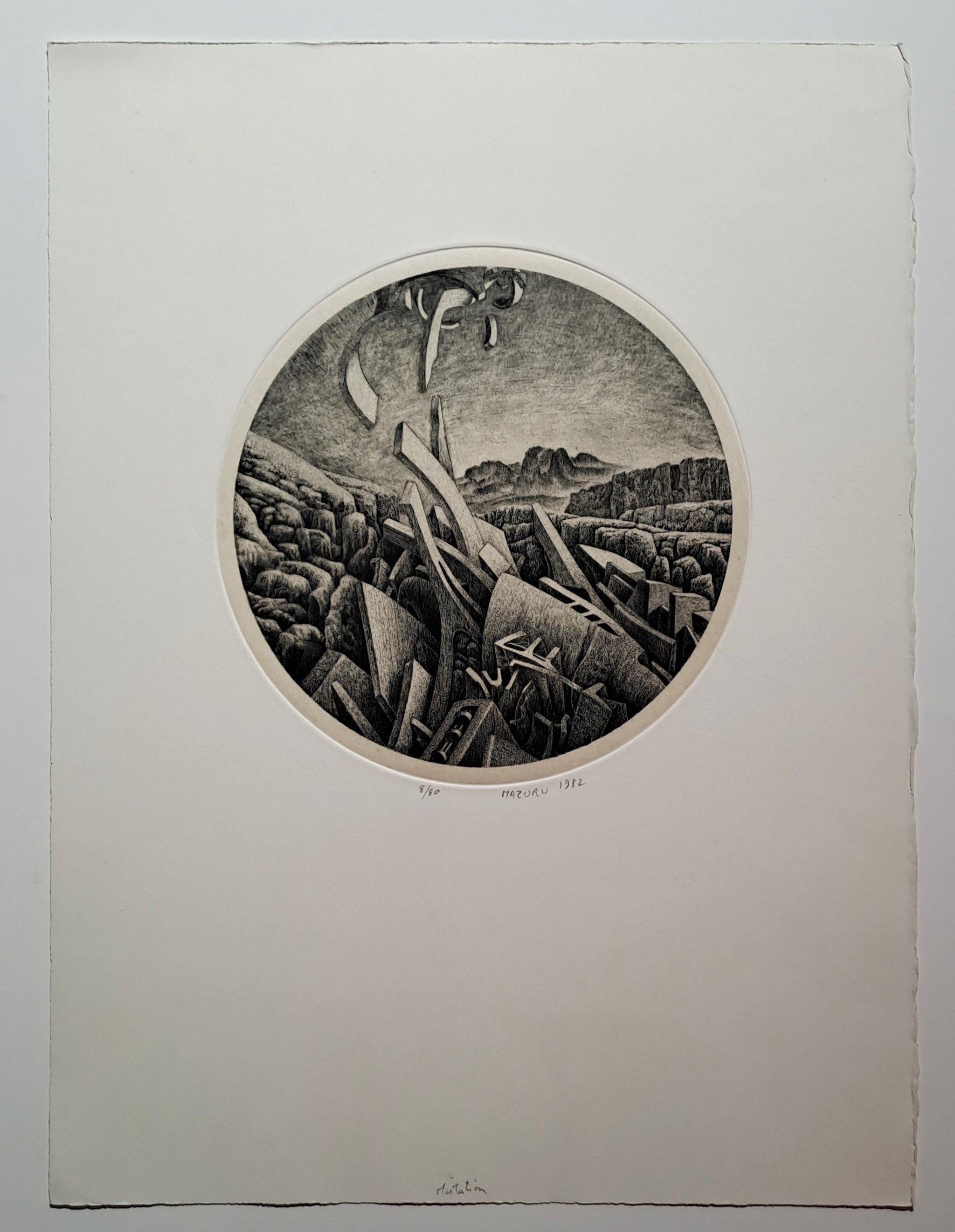 Mutation. 1982.
