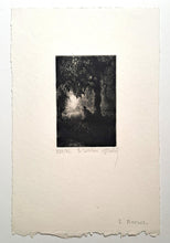 Charger l'image dans la galerie, Le solitaire.