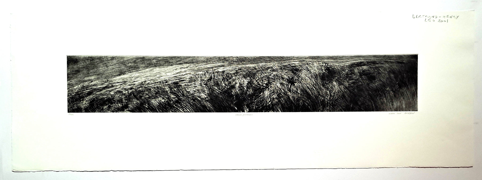 Hauts plateaux. 2001.