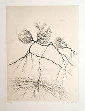 Charger l'image dans la galerie, REIMS Cécile. Végétal. Gravure signée.