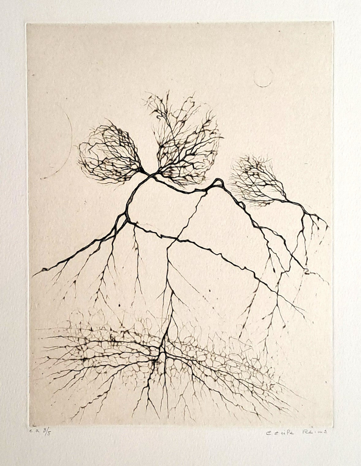REIMS Cécile. Végétal. Gravure signée.