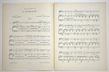 Charger l'image dans la galerie, L'Oiseleur. Poésie de Daniel Enoch (n°2).