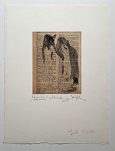 Charger l'image dans la galerie, Usnée.