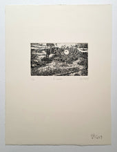 Charger l'image dans la galerie, Le marais.