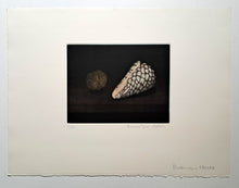 Charger l'image dans la galerie, Coquillage et noix.