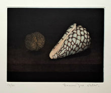 Charger l'image dans la galerie, VALLET Dominique. Coquillage et noix. Gravure en couleurs, signée.