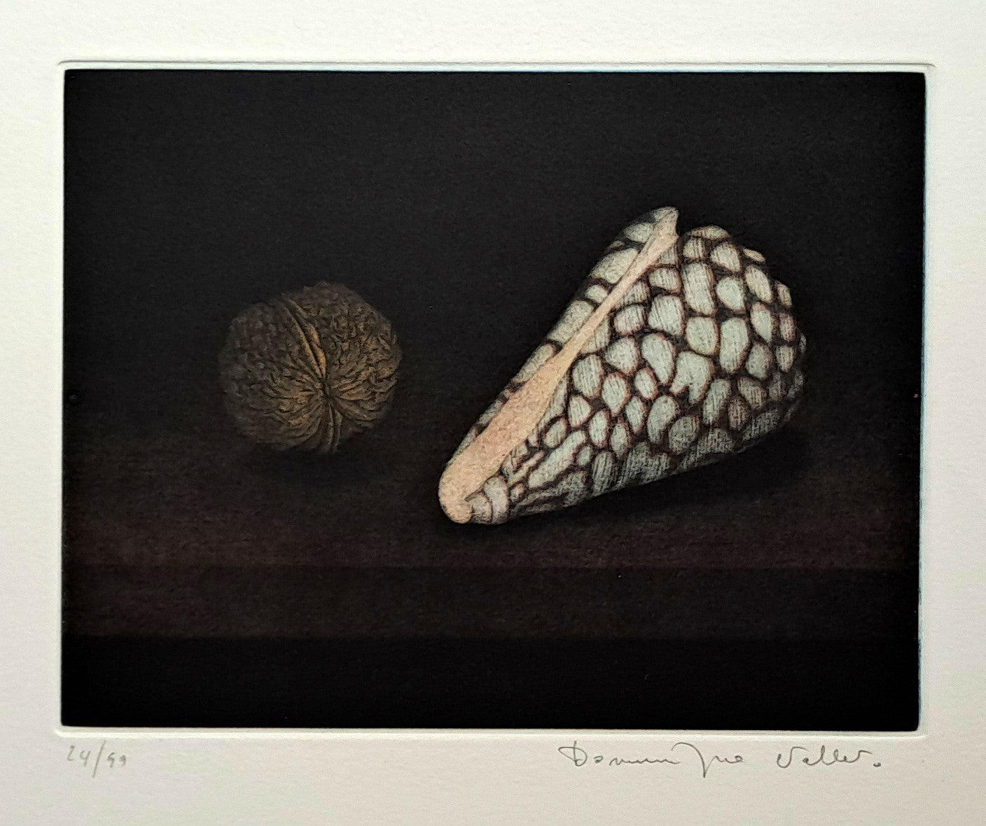 VALLET Dominique. Coquillage et noix. Gravure en couleurs, signée.