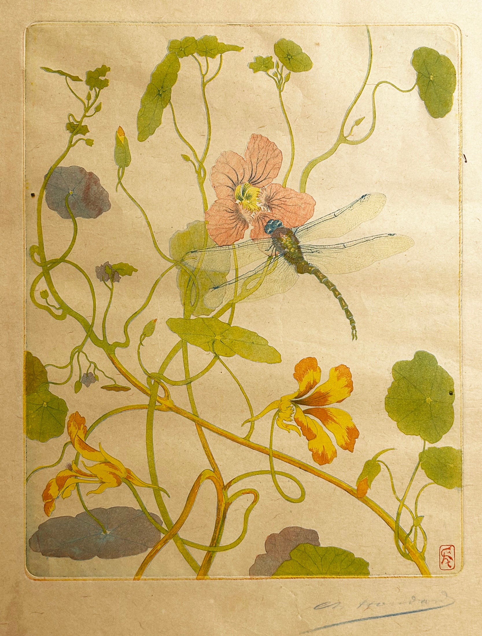 Libellule et capucine.  c.1895.