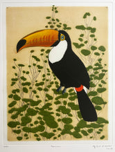 Charger l'image dans la galerie, Toucan.  2018.