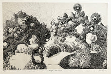 Charger l'image dans la galerie, Horizon de Séléné.