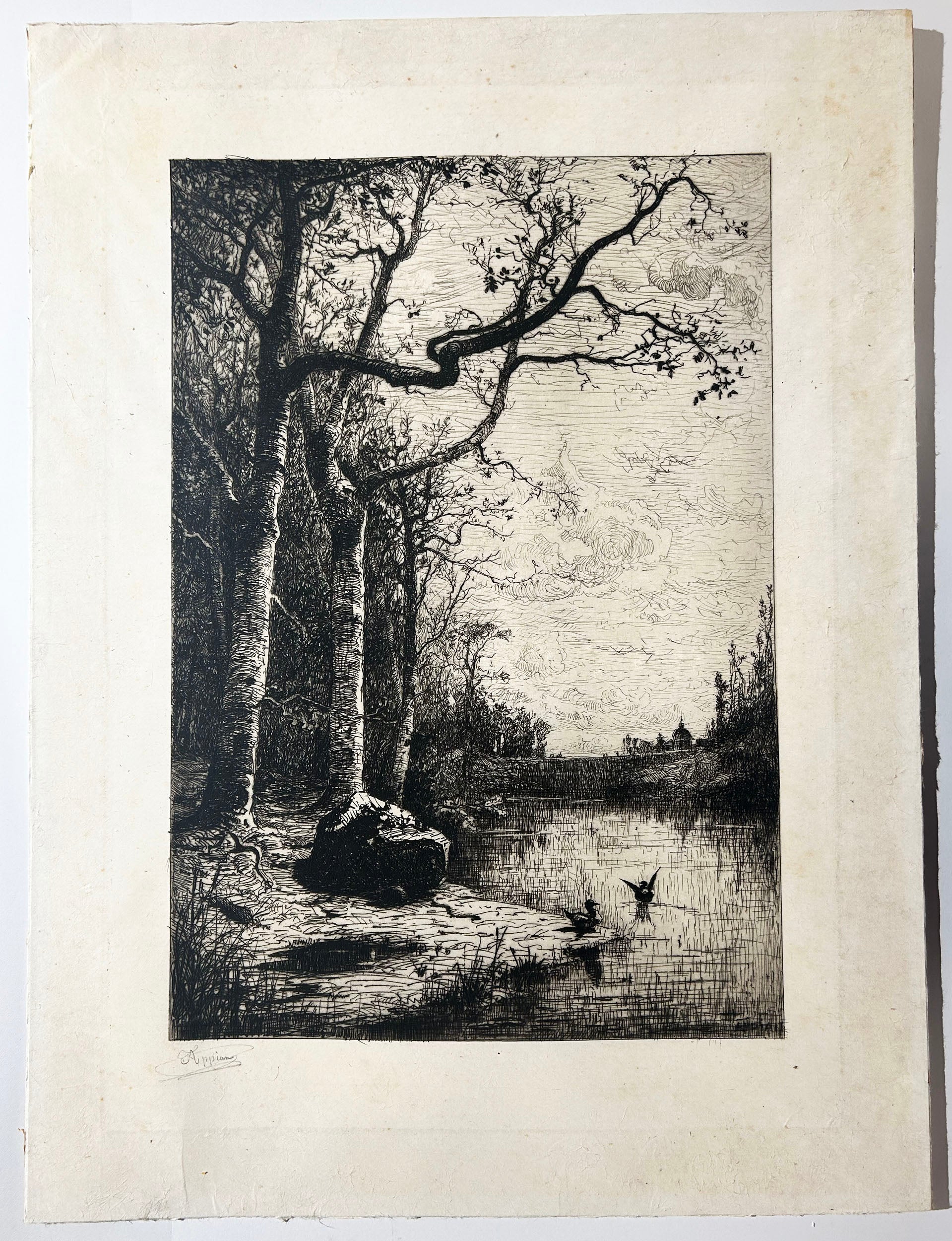 Marais de la Burbanche (Grande planche).  c.1876-1877.