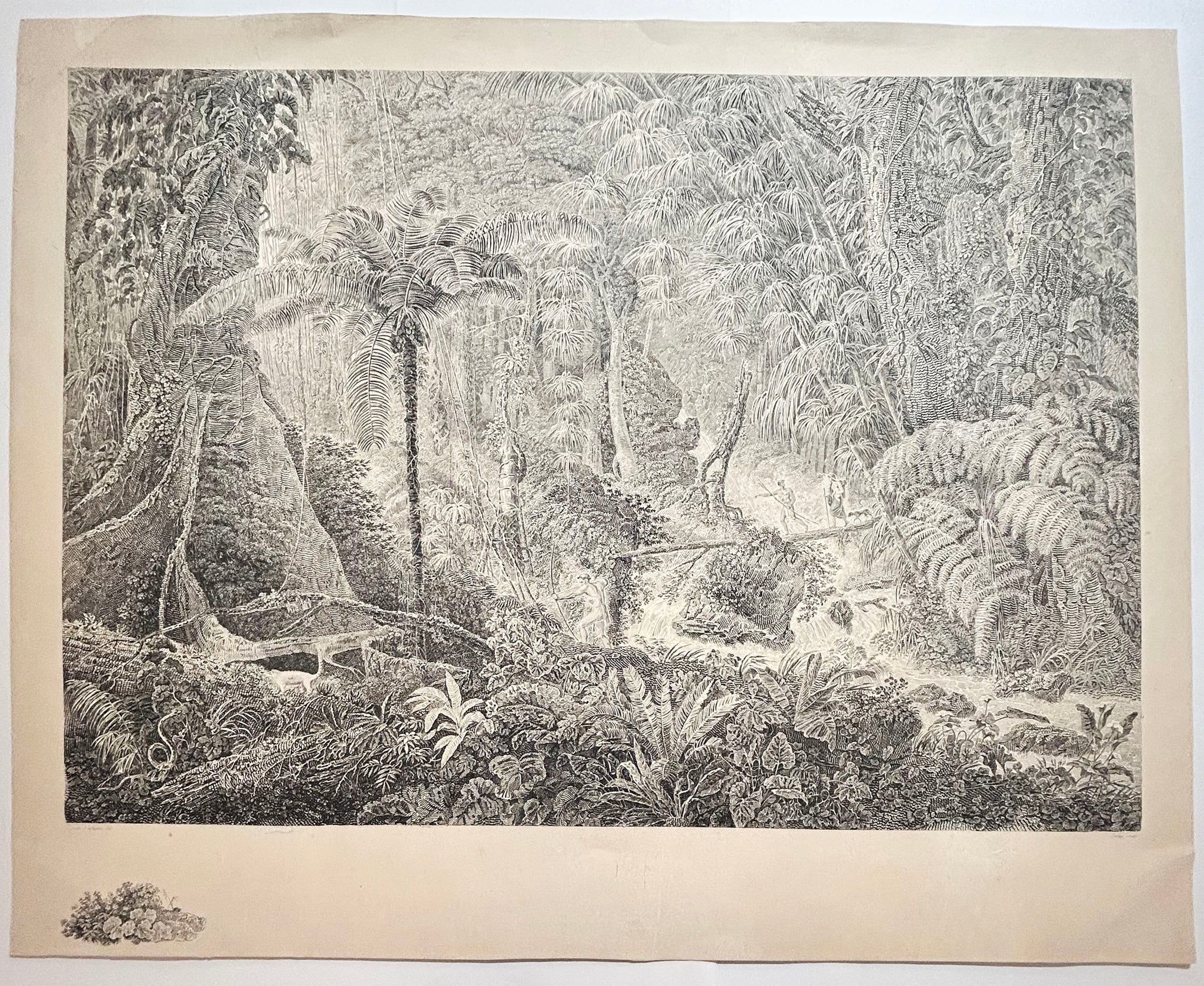 FORTIER Forêt vierge du Brésil.  1822. Grande gravure originale.