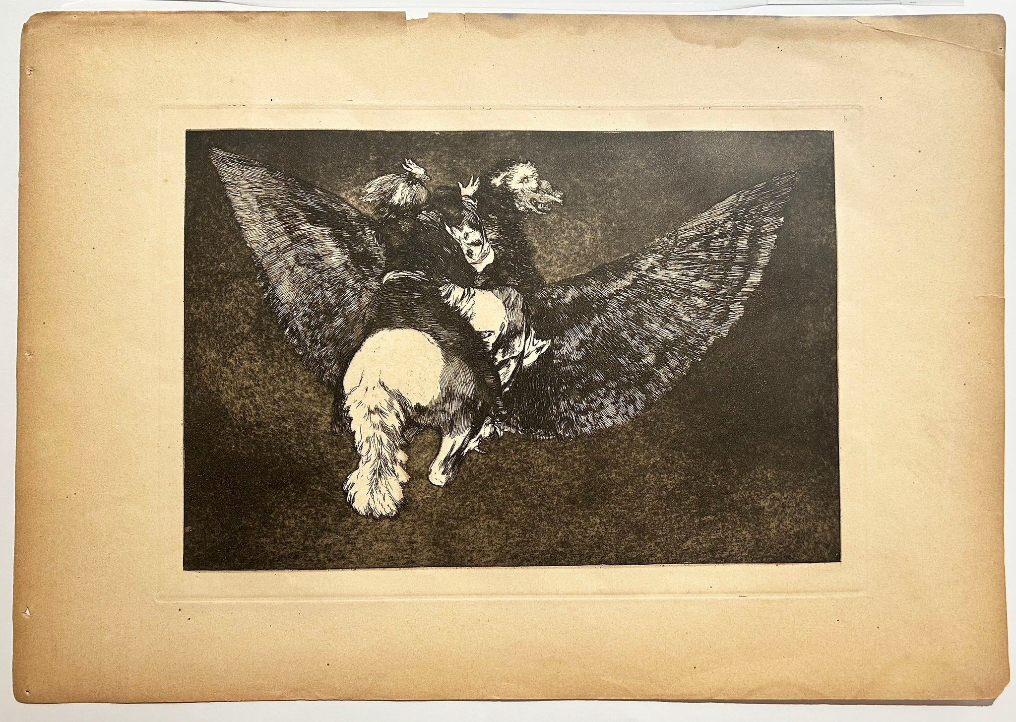 GOYA Disparate volante (Volante sottise). Reniego al amigo que cubre con las alas y muerde con el pico. 1815-1824. Gravure originale.