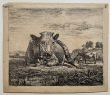 Charger l'image dans la galerie, Adriaen VAN DE VELDE Vache couchée.  1657. Eau-forte.