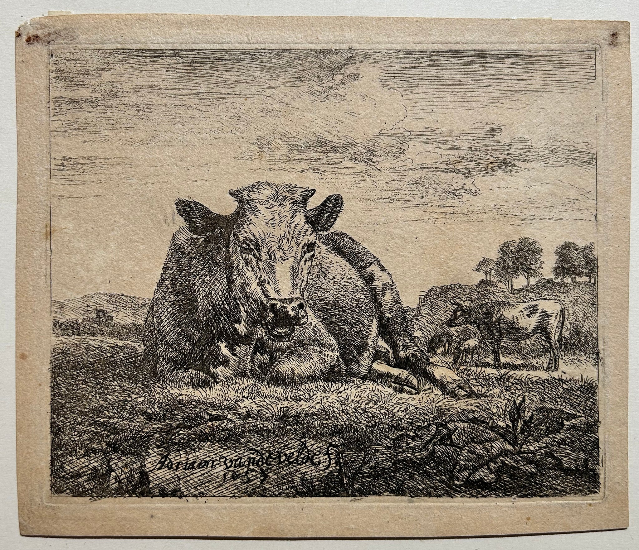 Adriaen VAN DE VELDE Vache couchée. 1657. Eau-forte.