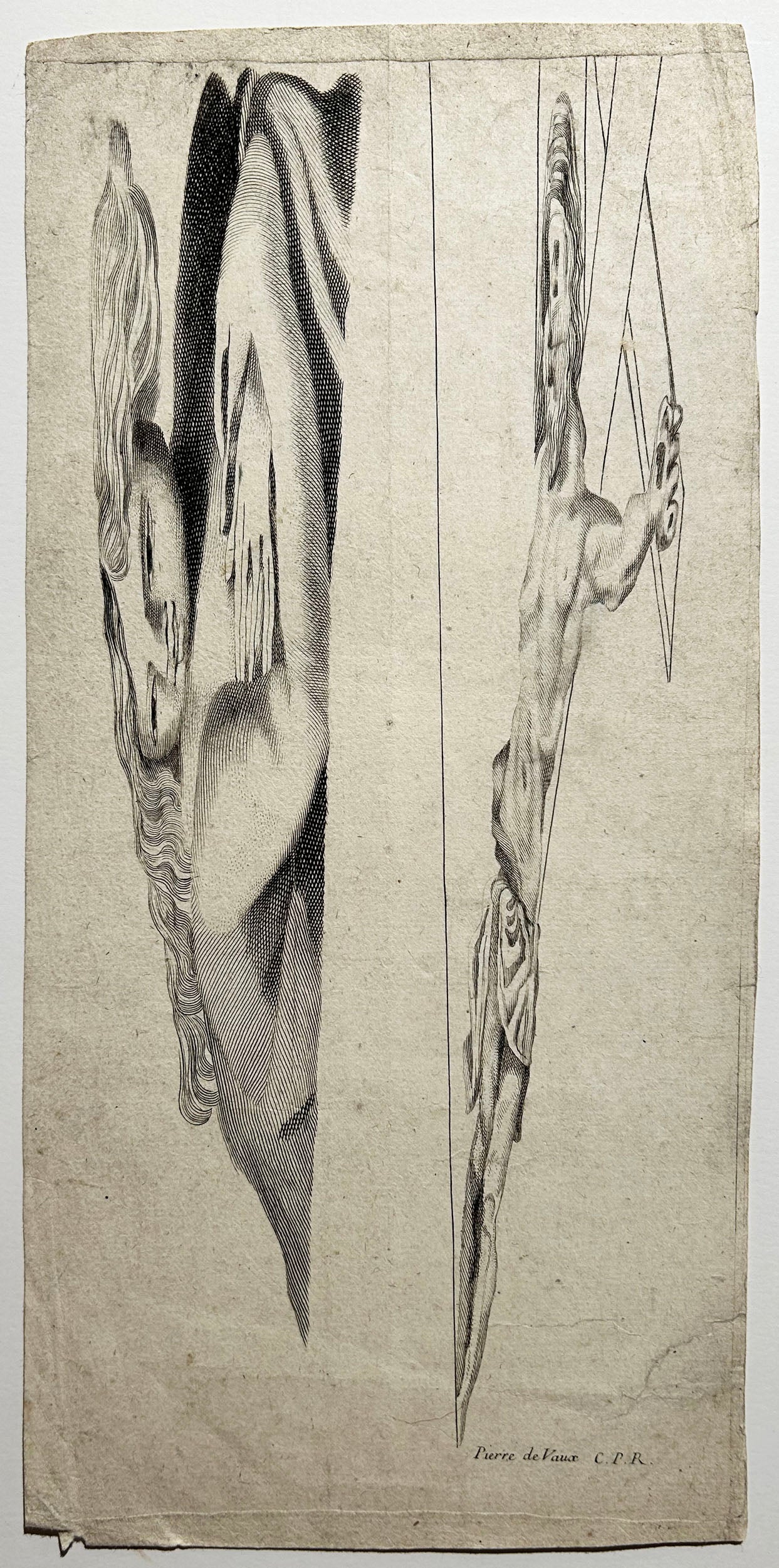 DEVAULX - Anamorphose.