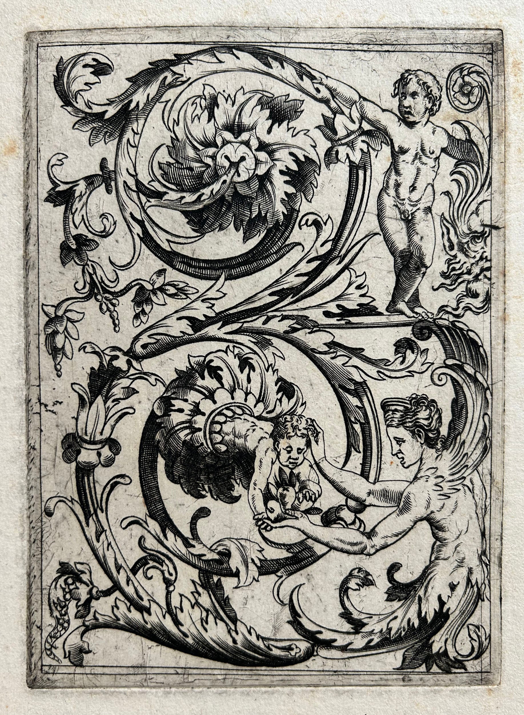 Ecole de Raimondi. Acanthus ornement. Burin.
