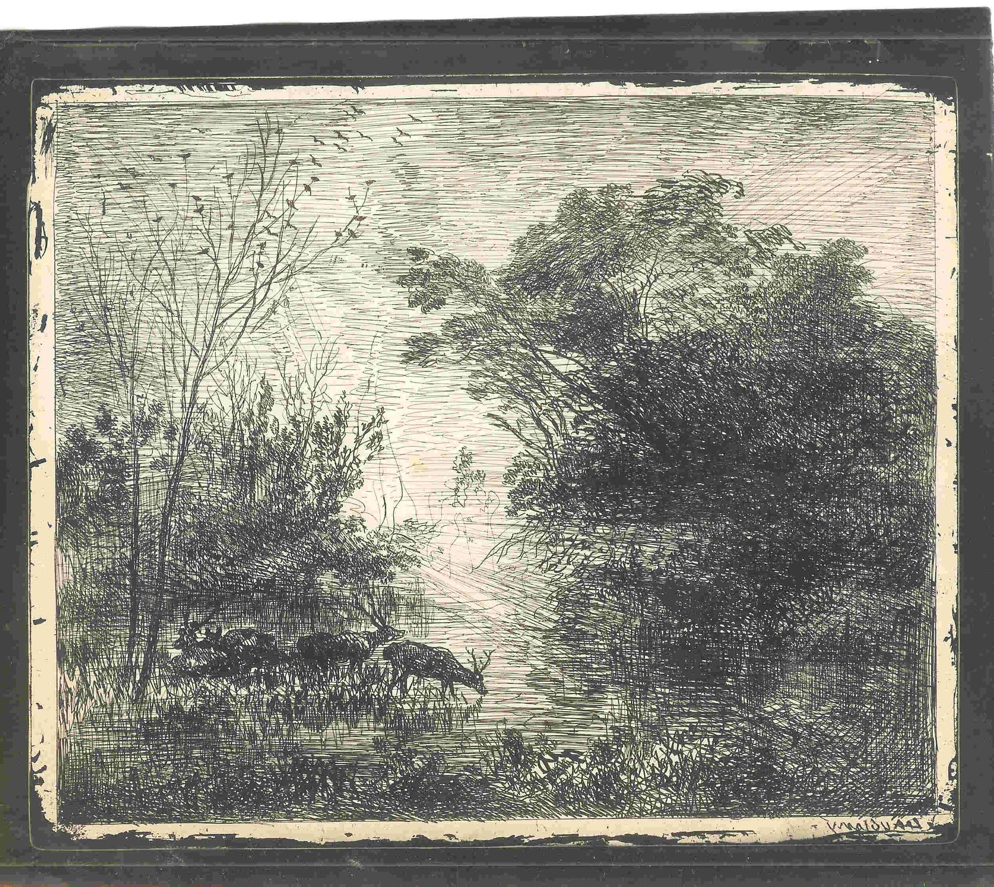 Les Cerfs. 1862 (1er tirage).