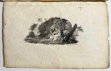 Charger l'image dans la galerie, Manuel du dessinateur lithographe ...