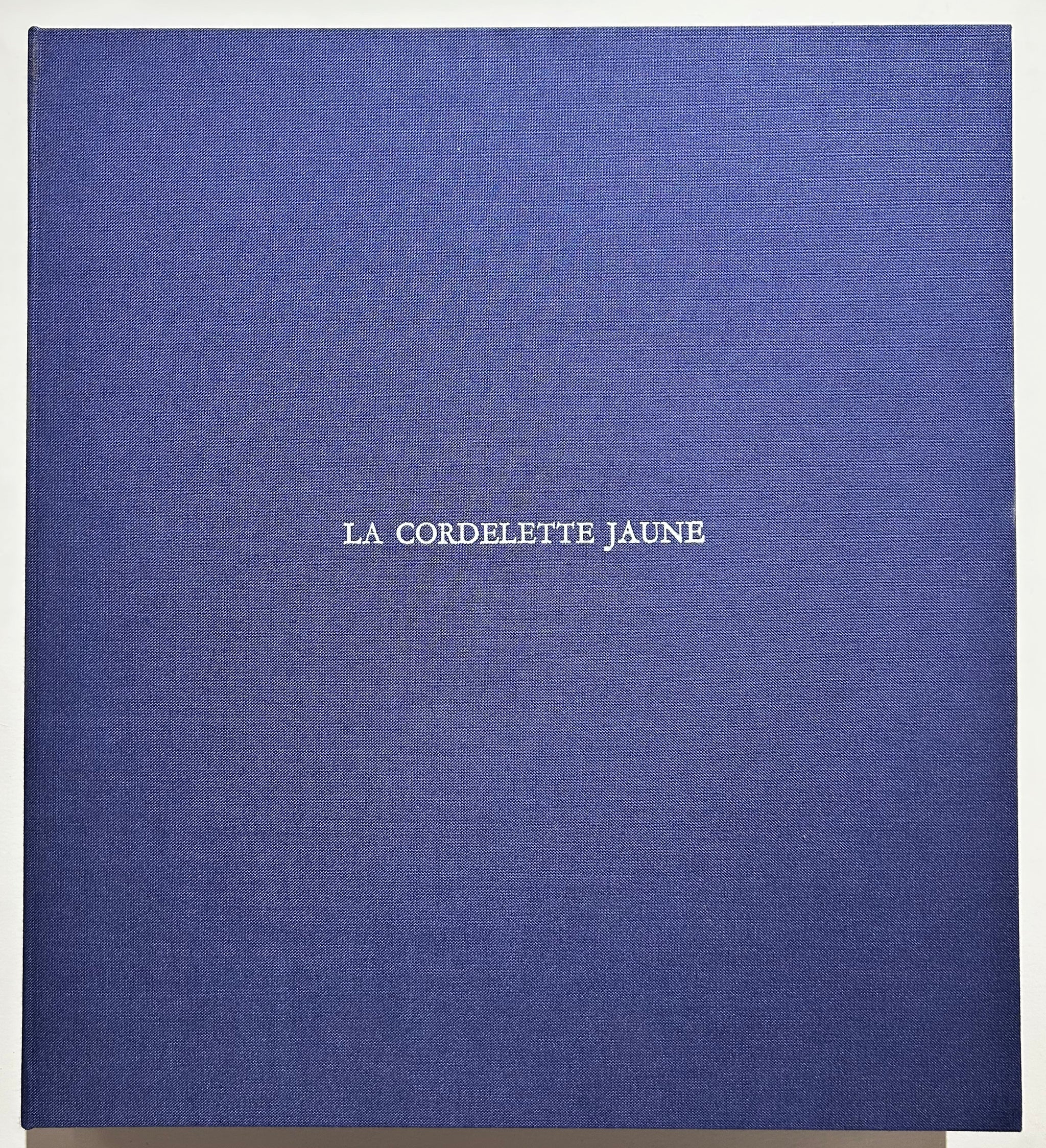Nathalie GRALL La cordelette jaune. 2004.