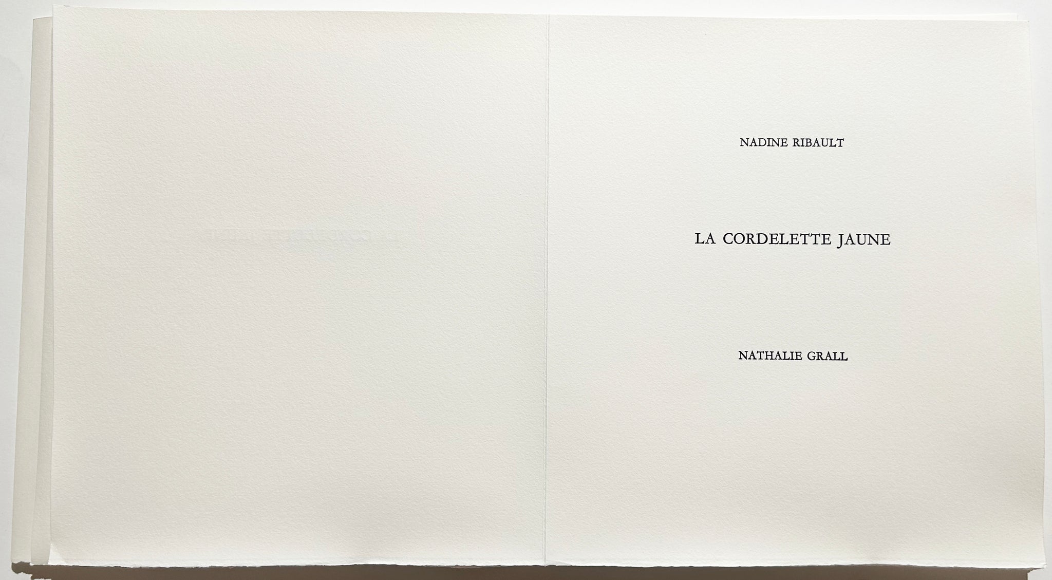 La cordelette jaune. 2004.
