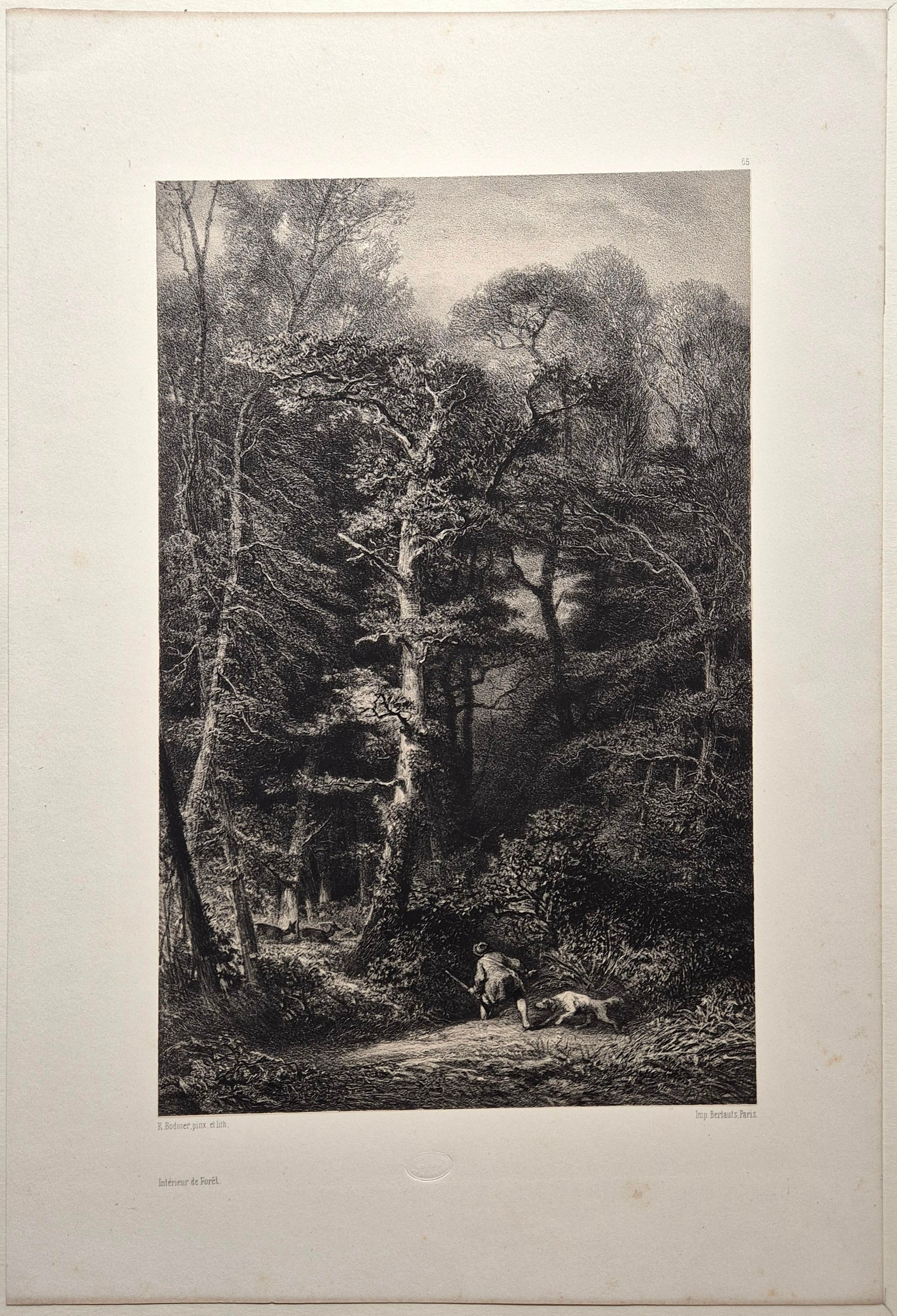 Intérieur de forêt. 1853.
