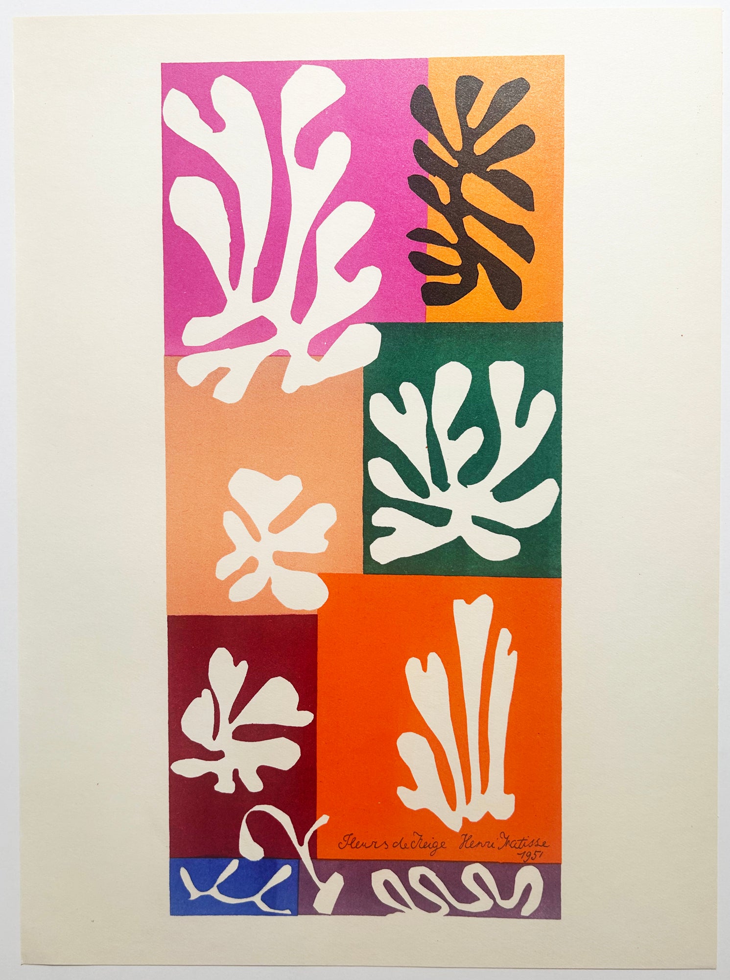 MATISSE Fleurs de Neige. 1951. Lithographie en couleurs.