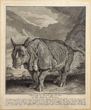 Charger l'image dans la galerie, Le Rhinocéros "Miss Clara". Nashorn Rhinoceros. "Anno 1748 im Monath May und Junio ist dises Nashorn Rhinoceros".  1748.