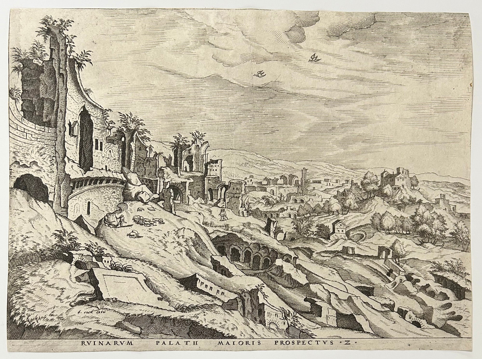 Ruinarum Palatii Maioris Prospectus. 2. 1561.