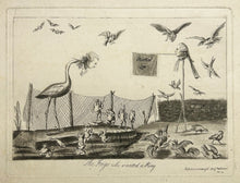 Charger l'image dans la galerie, The Frogs who wanted a King.  14 juillet 1789.