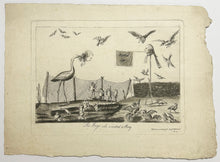 Charger l'image dans la galerie, The Frogs who wanted a King.  14 juillet 1789.