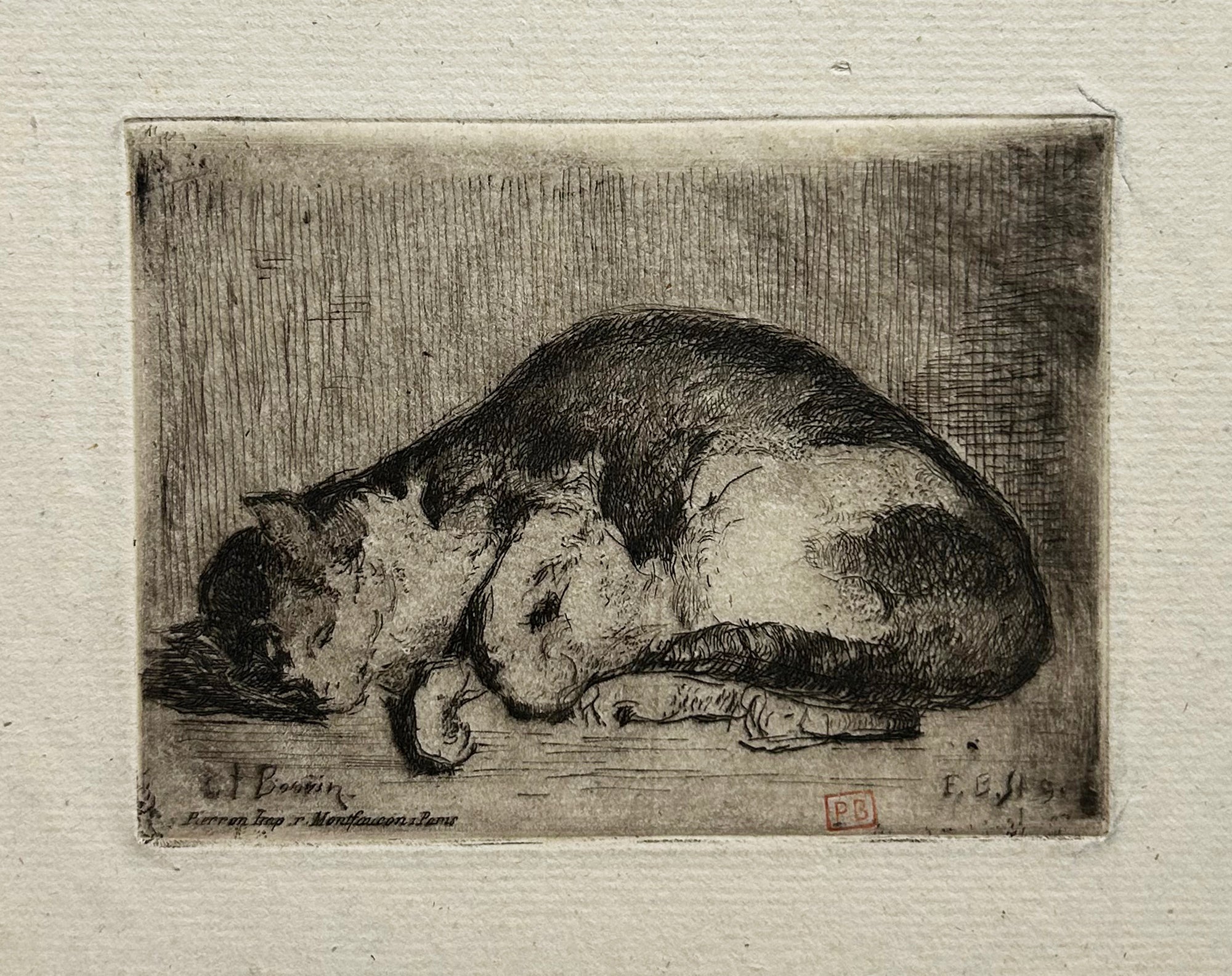 François BONVIN - Chat dormant. 1849. Gravure originale.