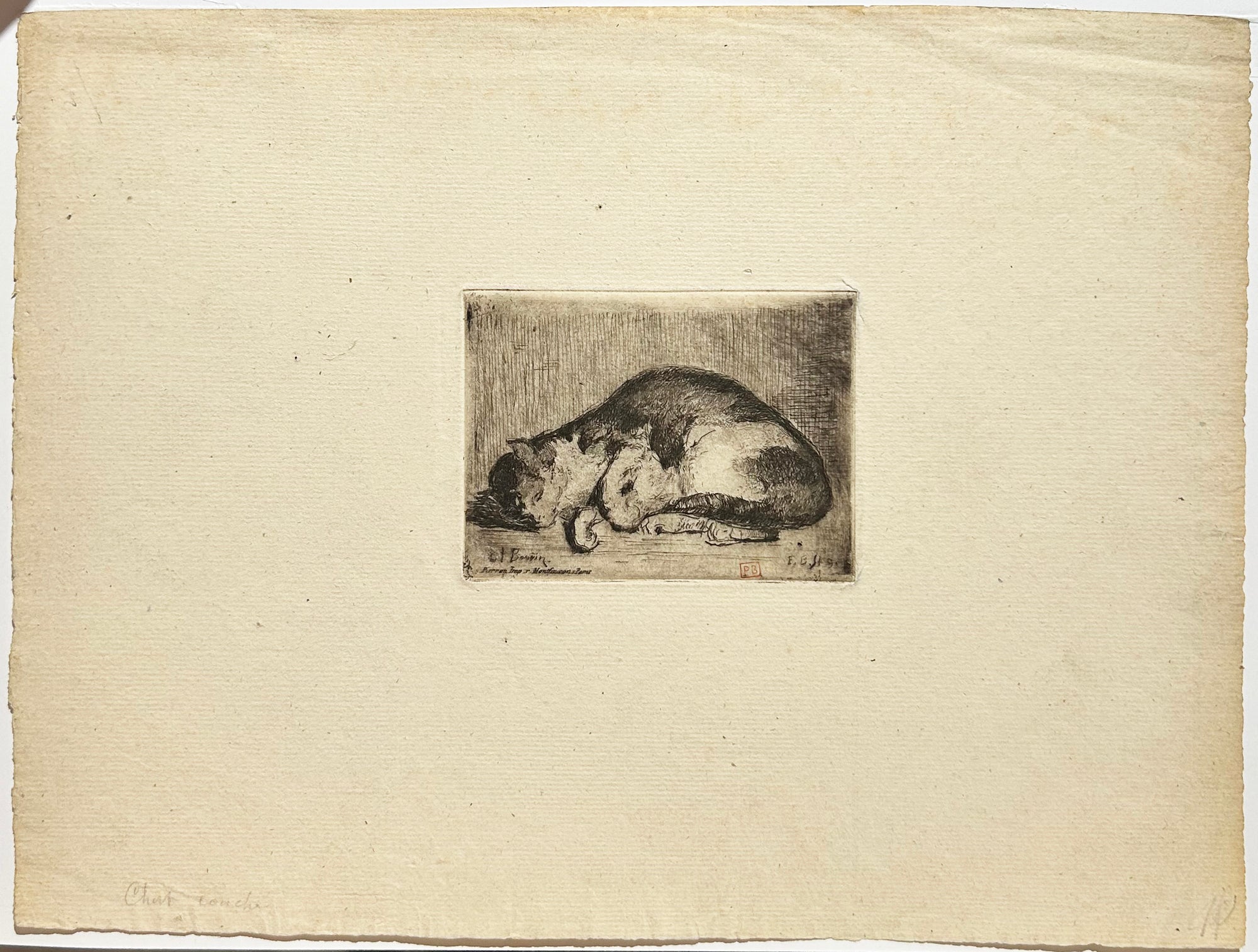 Chat dormant. 1849.