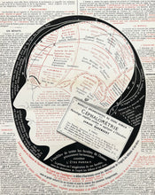 Charger l'image dans la galerie, Nouvelle organographie du crâne humain ou La Céphalométrie. Phrénologie simplifiée, rectifiée et appliquée à l'Education, par Armand Harembert. 1872.