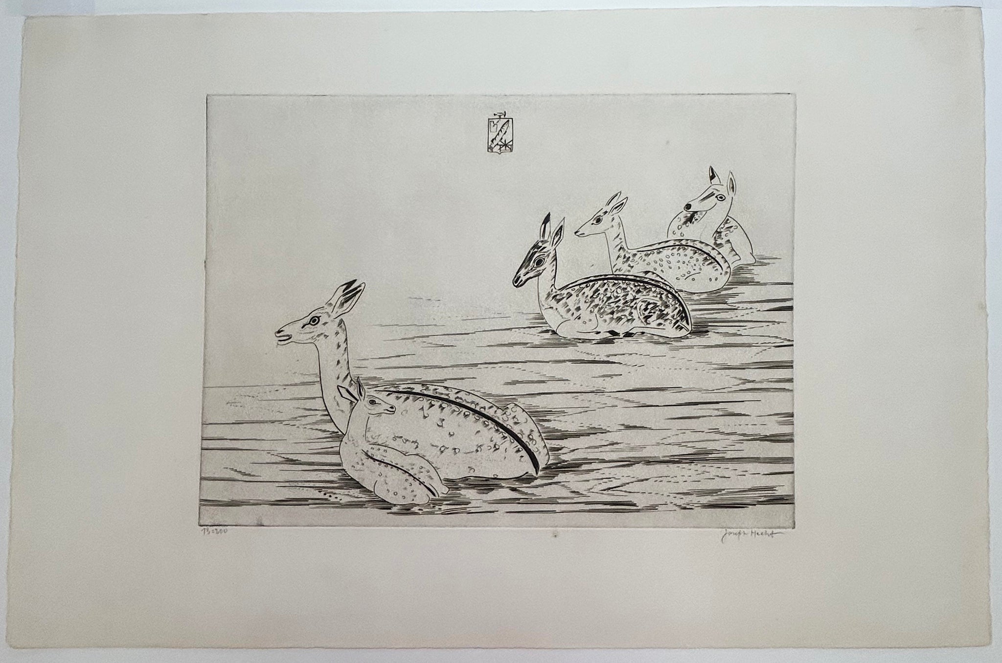 Cerfs indochinois.  1950.