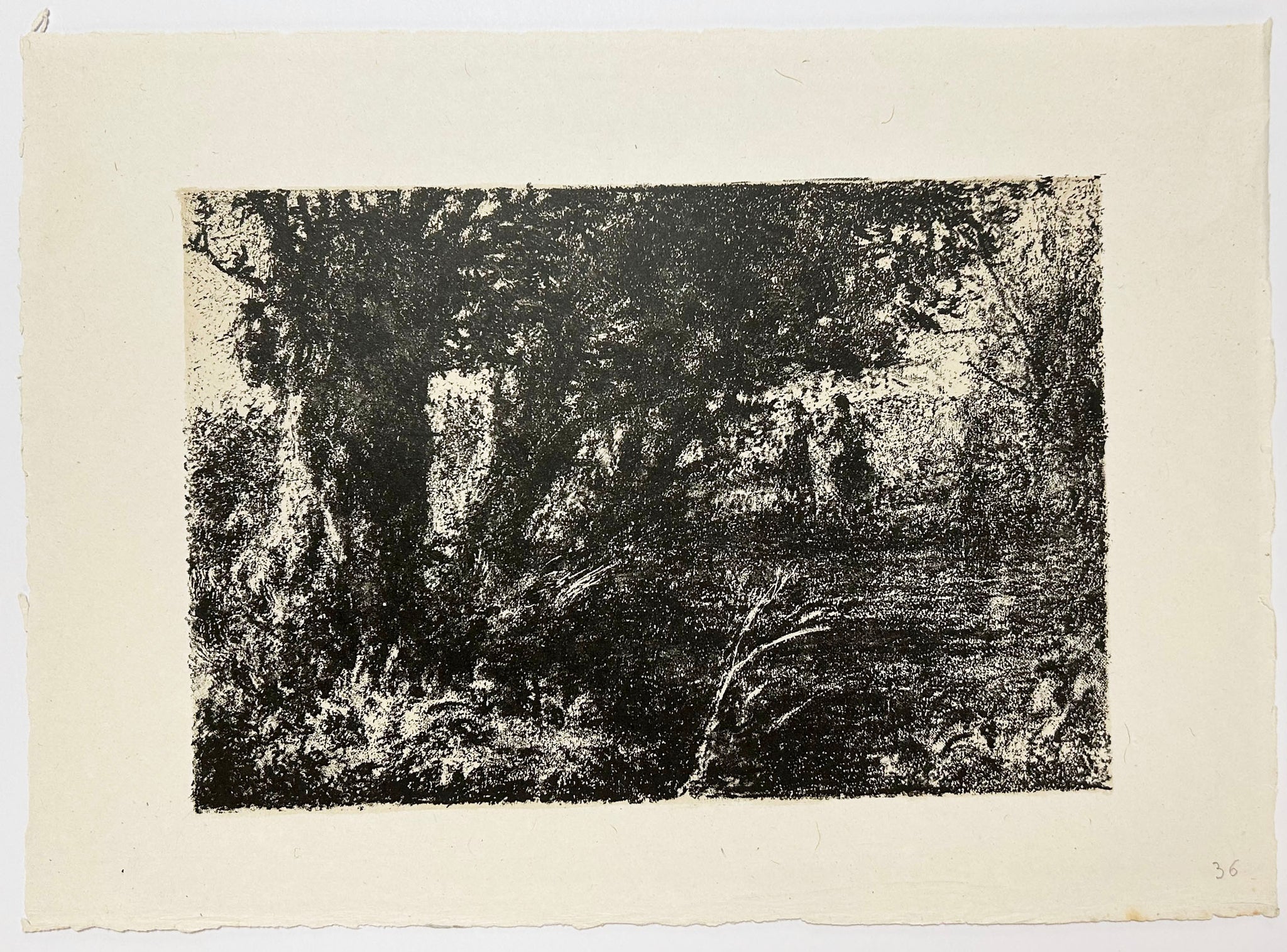 Deux petits centaures sous les arbres.