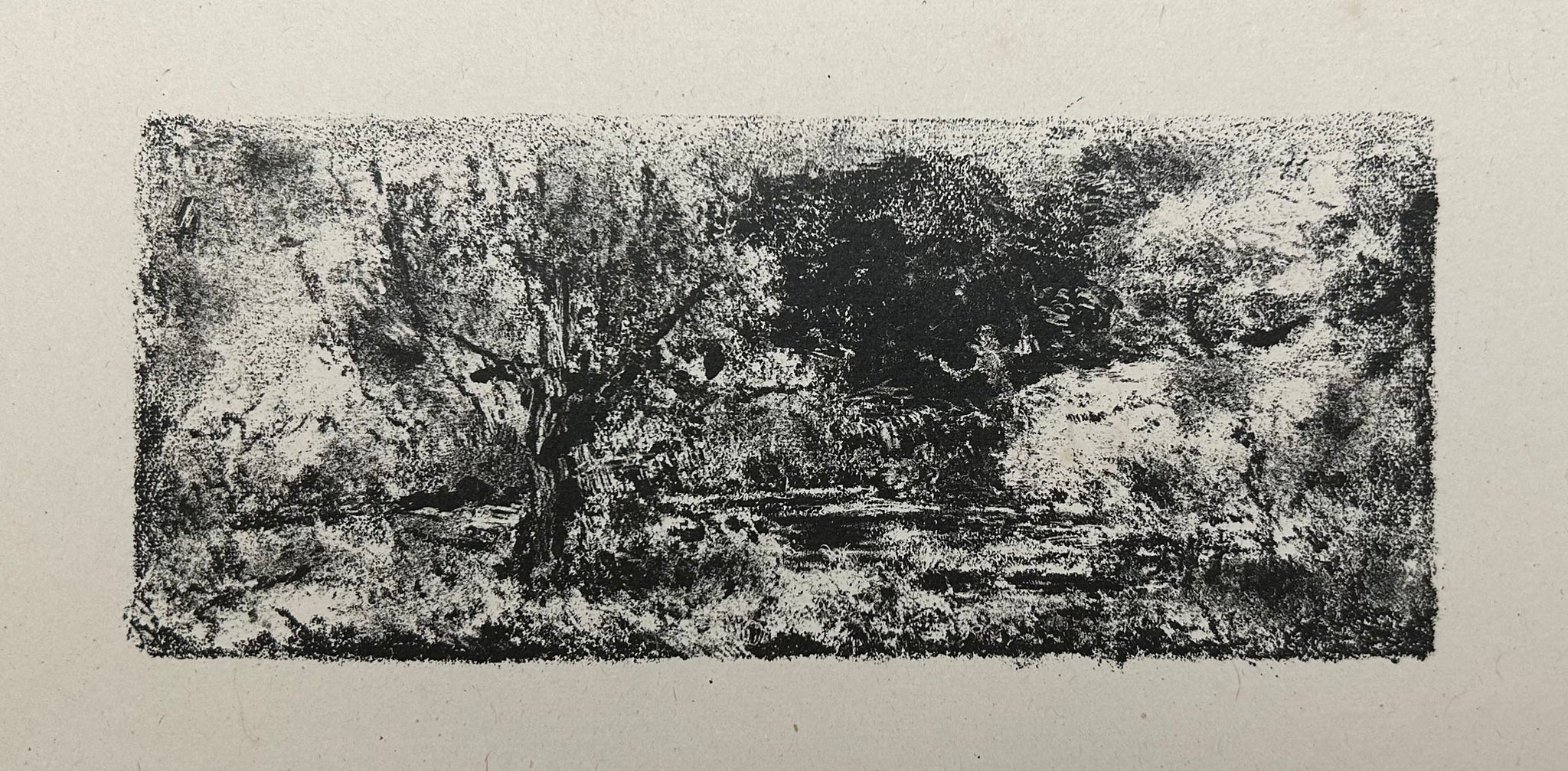 Petit étang dans la forêt avec un centaure.