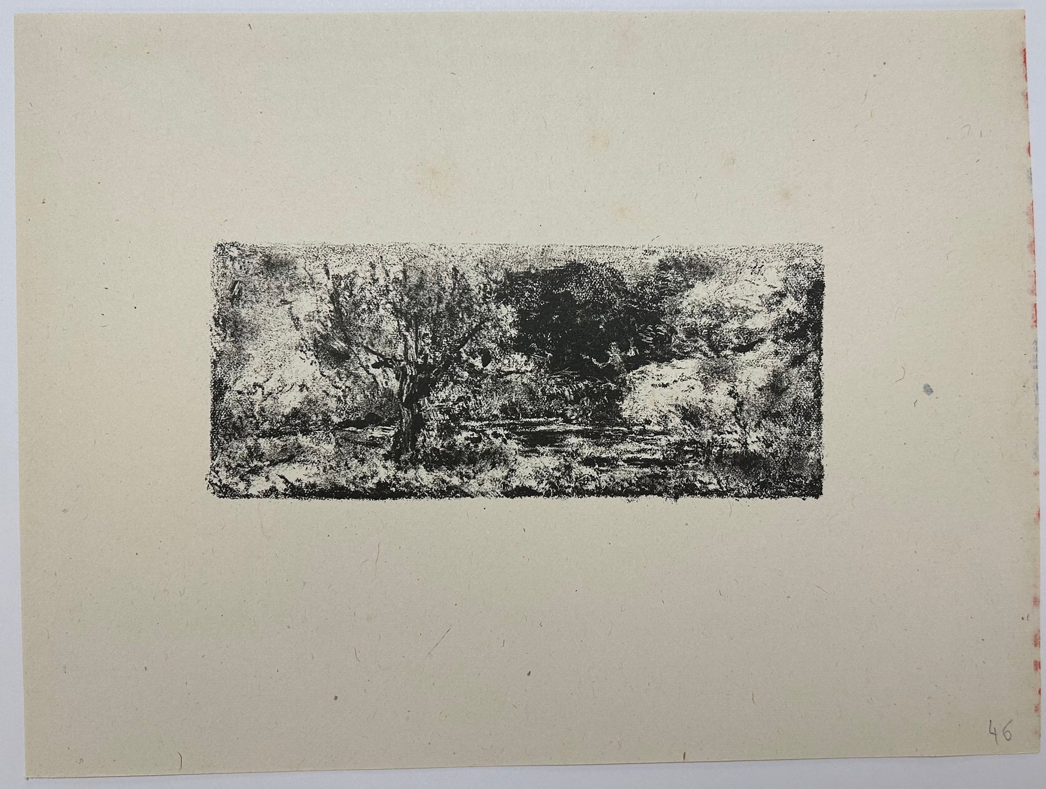 Petit étang dans la forêt avec un centaure.