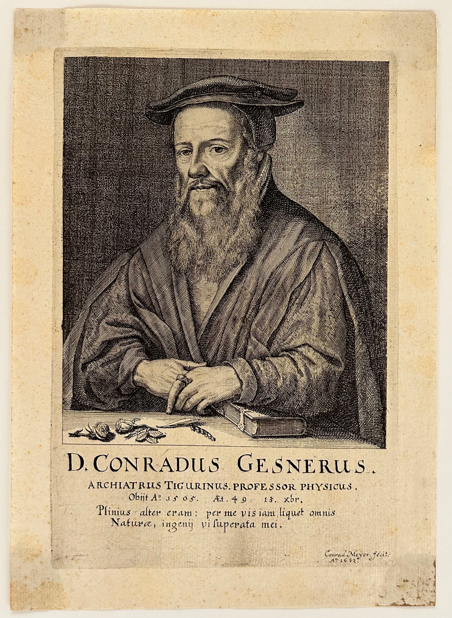 Portrait de Conrad Gessner (1516†1565), naturaliste, bibliographe et philologue suisse. 1662.