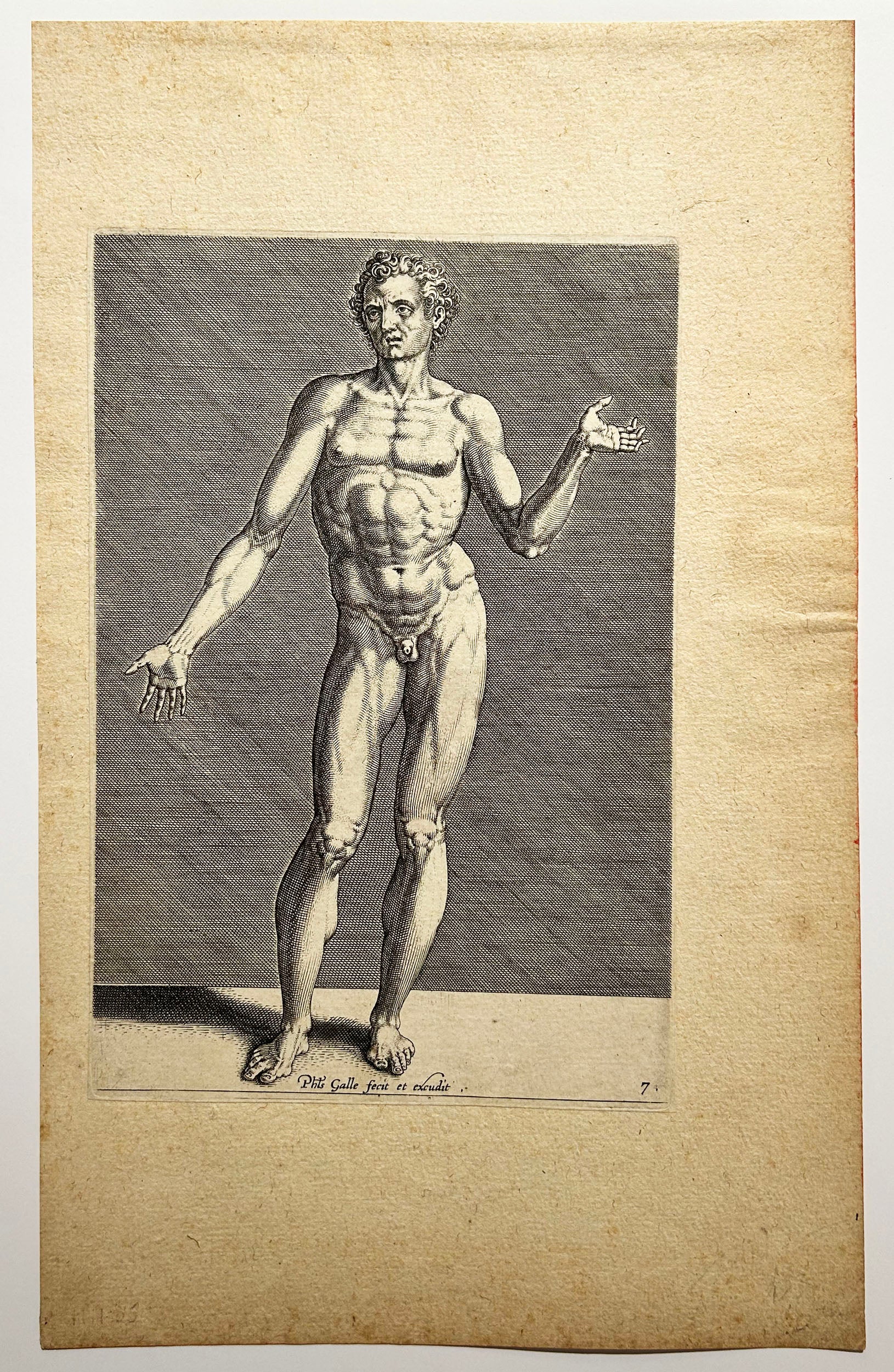 Nu masculin de face. 1589.