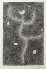 Charger l'image dans la galerie, La nuit danse.