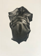 Charger l'image dans la galerie, Mécanique satinée.  1977.