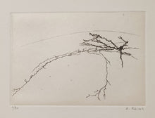 Charger l'image dans la galerie, Histoires Naturelles II.