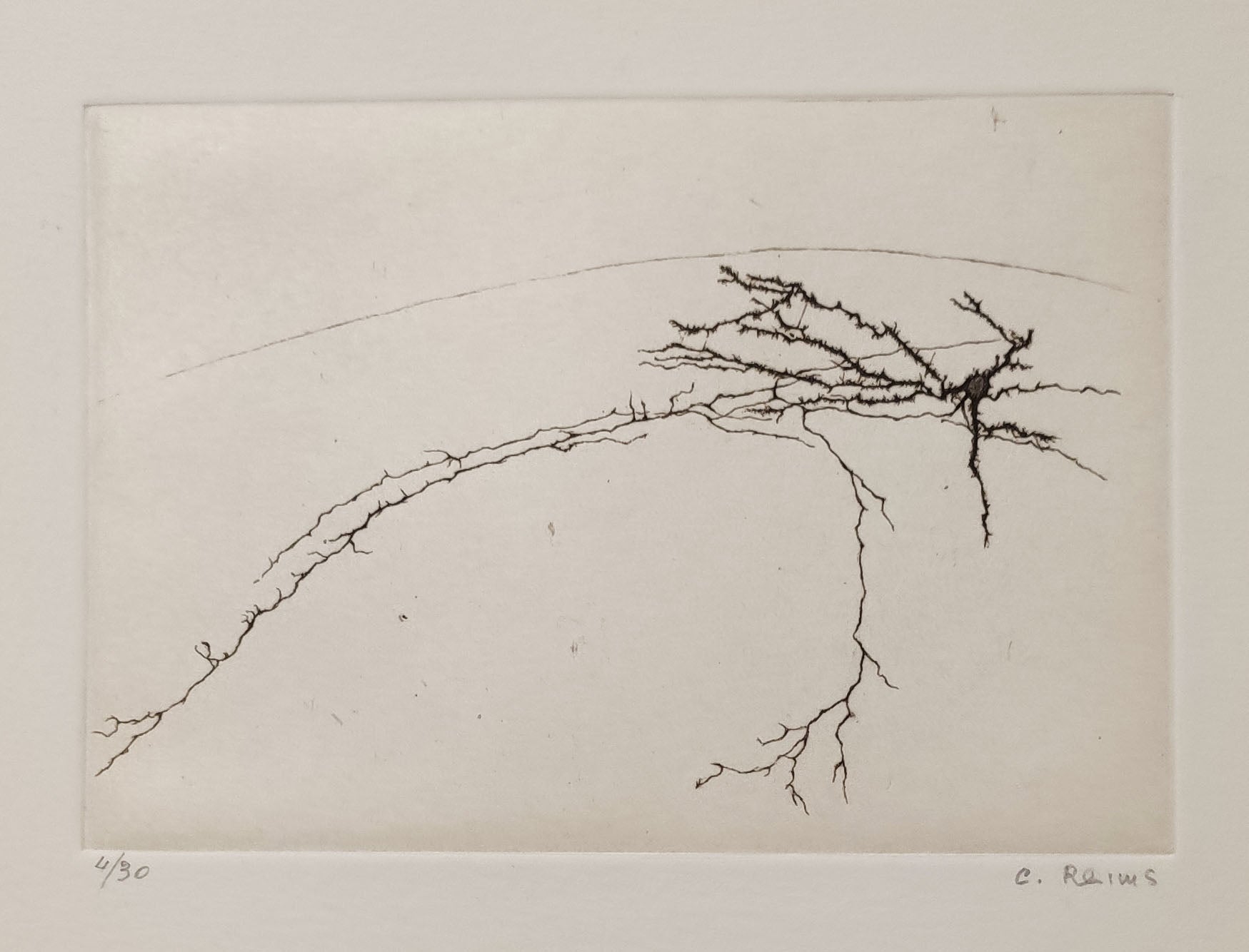 Histoires Naturelles II.
