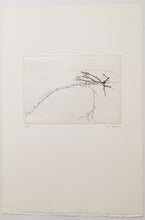 Charger l'image dans la galerie, Histoires Naturelles II.