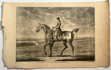 Charger l'image dans la galerie, Star, a running horse belonging to his grace the Duke of Bridgewater.  c.1750.