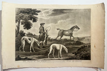 Charger l'image dans la galerie, The death of the hare. La mort de lièvre.  1757.